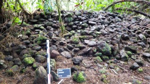 2. Ahu à 3 gradins éboulé@Papatumu