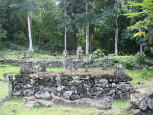 Vue d'ensemble du me'ae Iipona @SCP