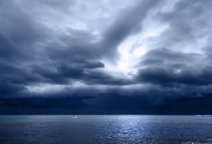 copyright Cécile Flipo