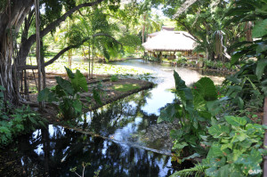 Le jardin de l'Assemblée@APF
