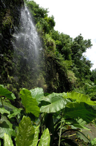 Grotte de Maraa, Tahiti