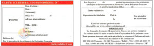 carte professionnelle statu artiste