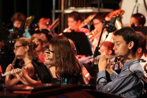 RETOUR SUR - Concert des harmonies © CAPF20170421_0001