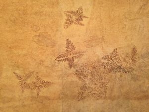 TRESOR DE POLYNESIE - Tapa © MTI 20161005_0004