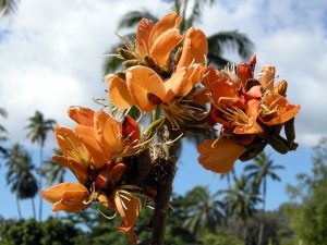 128- oeuvre du mois - atea 02