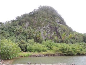 129 - Rdv Taputapuatea - Pierres requins - Photo SCP