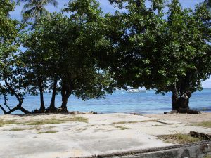 132 - E reo to'u - 'ati - Crédit Natea Montillier Tetuanui