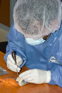 132 - Le saviez-vous - Tartre dentaire SCP - DSC_7898_Raphael - Crédit Bastien Llamas