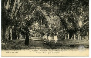 133 - Pour vous servir - Ajouts Ana'ite - Fautaua - Cours de l'union sacrée