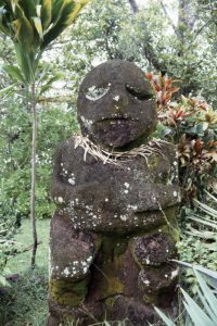 1991-Edmundo Edwards (c) DCP 03211-1