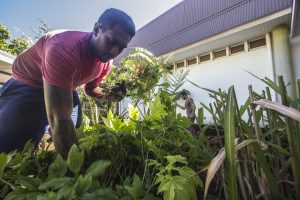 le saviez vous jardin du musée déménage