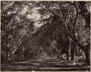 FRANOM16_8FI_047_V008N006