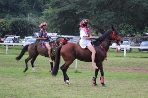 Courses hippiques - Photos AHEE (3)