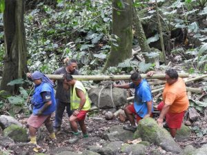 déplacement tiki Te fiifii