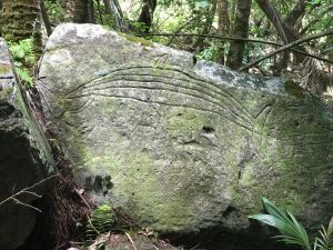 Hanavave Fatu Hiva pétroglyphe de Vaihonu baleine ou requin baleine