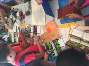 CB atelier herbier©MTI