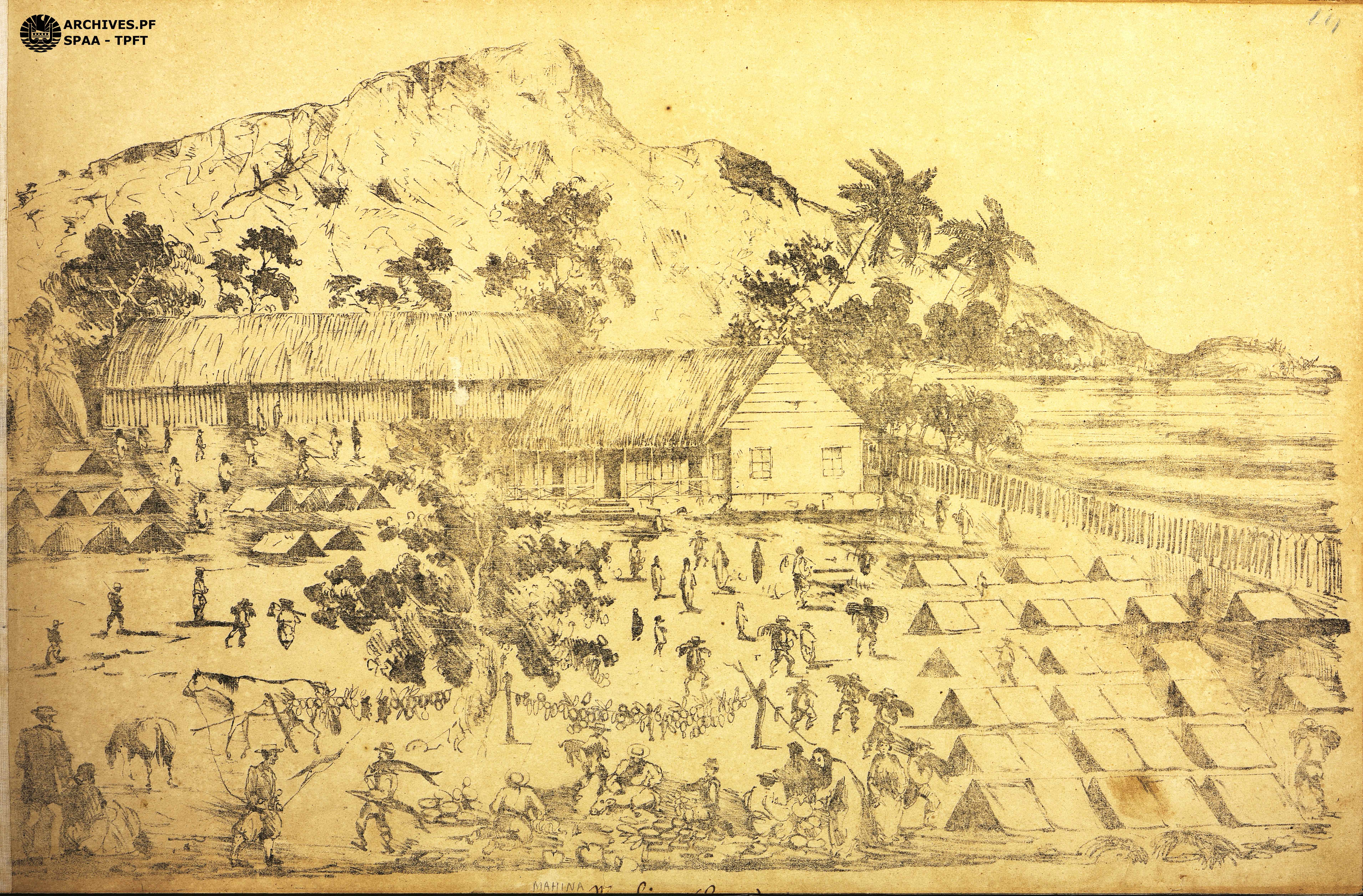 Les troupes de la promenade militaire à Mahina_Fonds SEO