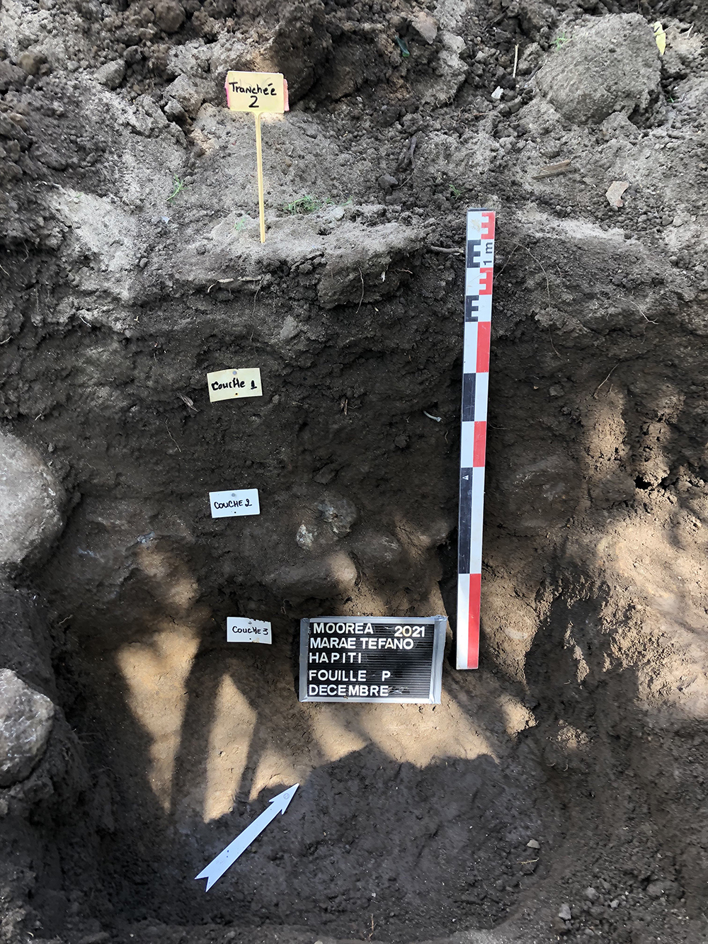 Marae Tefano un alignement de pierre dans la couche 2