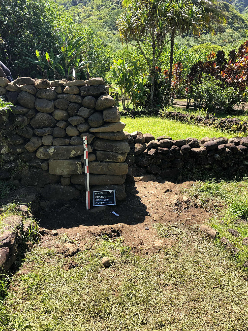 fare hape ©DCP copie