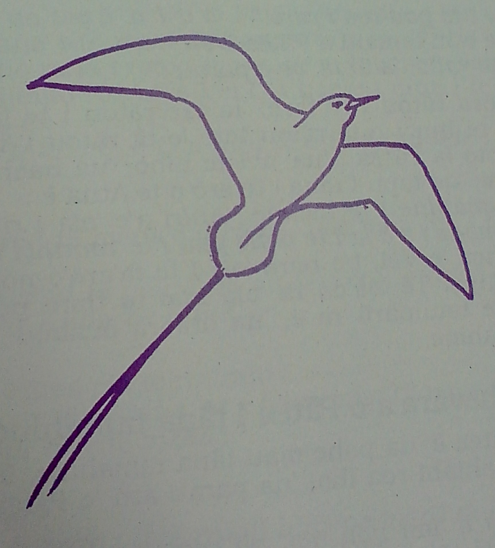 ma'uroa hope'ute Dubois 1998