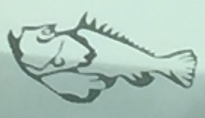 5 nohu poisson pierre logo