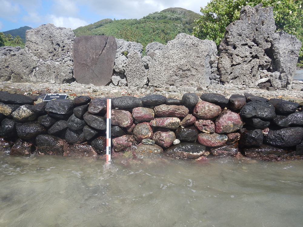 Marae Hauviri après 2 copie