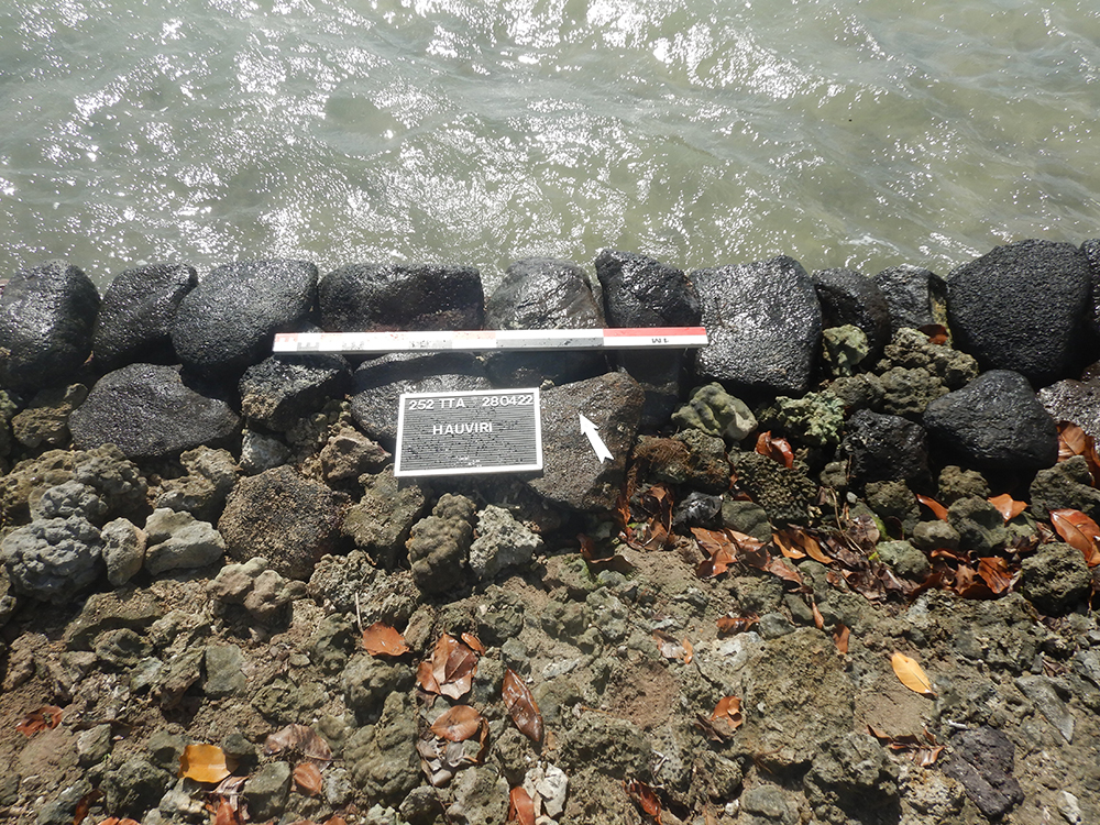 Marae Hauviri après copie