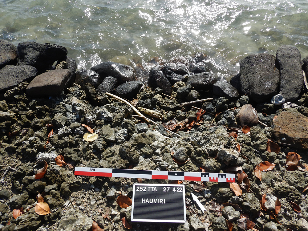 Marae Hauviri avant copie