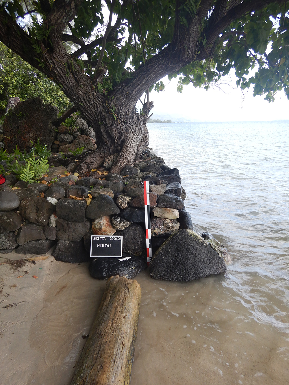 Marae Hititai après copie