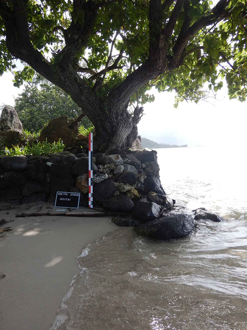 Marae Hititai avant copie