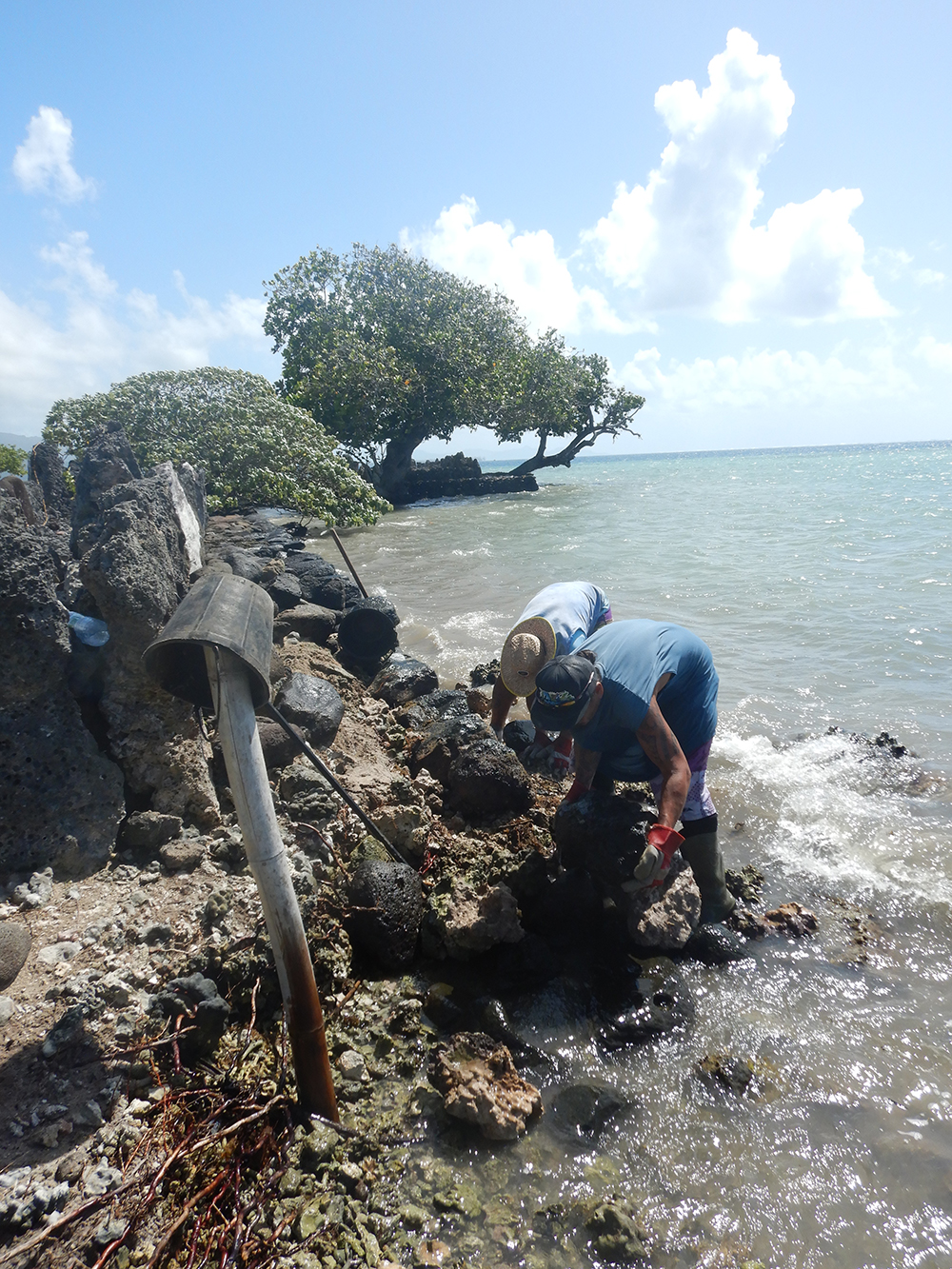 Marae Opu Teina 3 copie