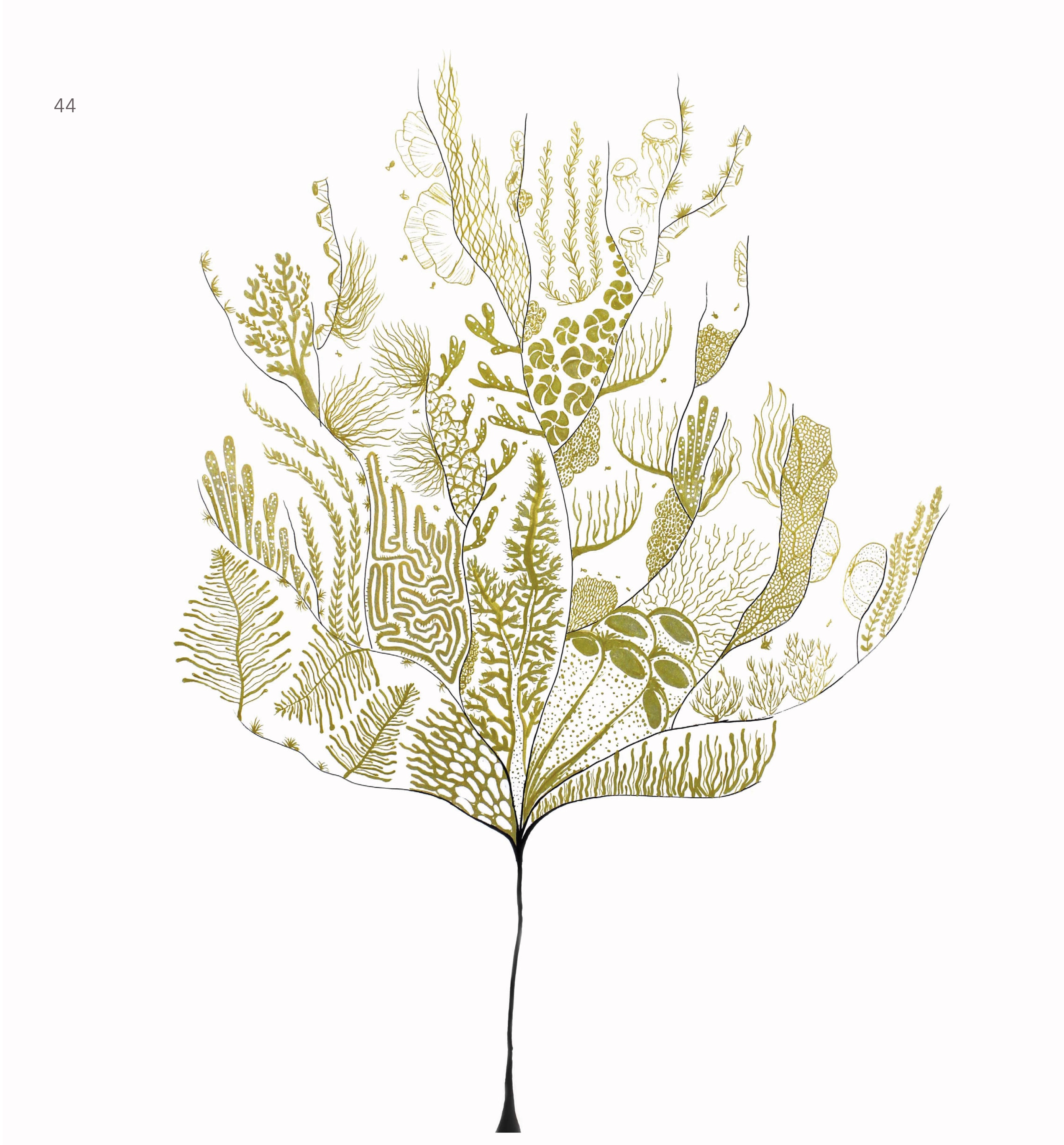 L'Oeuvre du mois toa